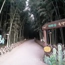 외솔목장 이미지