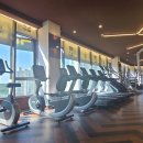 DYGYM 이미지