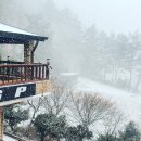 하추사계절