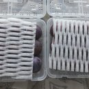 윤희농원