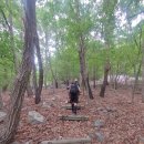 은영이네약초 | 향로산