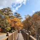 🍂 가야산 소리길 트레킹 후기 – 가을 힐링 여행