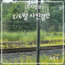 5,6월 사진결산 먹느라바쁜일상 무지 생일축하해!