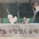 국립청도숲체원 이미지