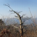 삼거리농장 이미지