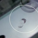 대광자동차유리 - 달성군 논공중앙로 74 | 대광자동차유리