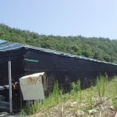 신지면-2 이미지