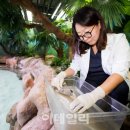 롯데월드아쿠아리움 이미지