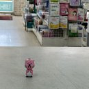 하하약국 이미지