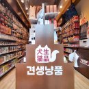 견생냥품무인24시경기