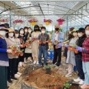 충주시농업기술센터 이미지