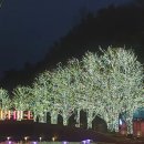 광진구청 | 일상(워커힐그랜드호텔, ClefM, 광진구청 방문후기)