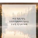 도토리 정원 이미지