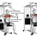 트라이핏 이미지