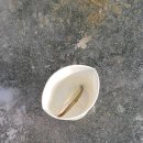 백학지 옆 네이버블로그