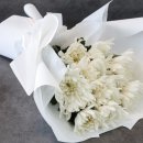 강원장의사 이미지