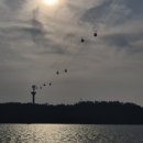 온금근린공원 이미지