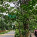 이곡초등학교 이미지