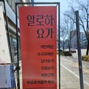 빈야사요가A | 일요일 요가 가능한 알로하요가에서 빈야사 후기