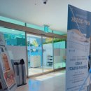 메디움수원요양병원 | ☘️ 메디움수원요양병원 — 100큐리 치료 후 요양 중