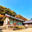 명품휠링 | 국내 여행지 추천 충남 공주 마곡사 단풍 최고지!