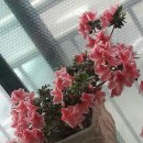 한일당구장 이미지