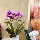 승진농장2 이미지