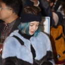 민들레패션