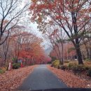 국립운문산자연휴양림야영장 이미지