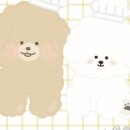 계피랑마요랑 이미지