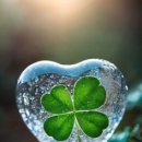 다스름한의원 이미지