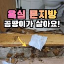 문지방 | 화장실문지방 교체 후기 화곡동 물먹어 냄새나는 욕실문틀 부분수리 사례