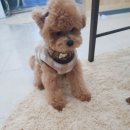 정윤에너지 이미지