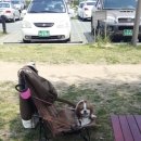 동물병원 더 메이 이미지