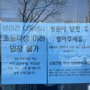 퍼피포레스트 이미지