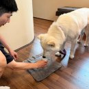 용산-이촌-491 이미지