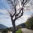 노량보건진료소 이미지