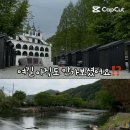 큰마당 오토캠핑장 이미지