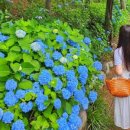 신천옥사우나 이미지
