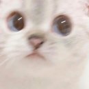 와따 PC 이미지