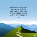 와이미션