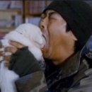 라온하제 이미지