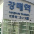 제일생태동태찌게