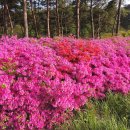 태안휴게소 이미지