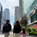 강아지 호텔 이미지