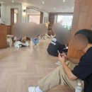 고양이카페 이미지