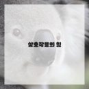 SNS 활용법 이미지