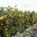 성폭력상담원교육훈련시설 이미지