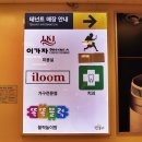 레인헤어비스