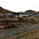 상주공인중개사사무소 이미지